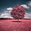 glenntoothman - @glenntoothman - TikTok