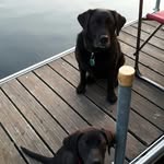 Glenn Townsend - @glenntownsend57 - Instagram