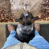 Glenn Townsend - @glenn.townsend - TikTok