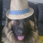 G7ENU - @glennupton1 - Instagram