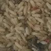 glennwainwrightjr - @glenn.wainwright - TikTok