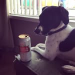 Glenn Wallace - @beerbloggingsalad - Instagram