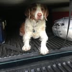 Glenn - @glenn_watters - Instagram