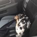 Glenn Whitt - Facebook
