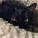 Glenn Winstead - Facebook