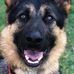 Glenn Witherspoon - Facebook