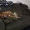 Glenn Wolf - @glenn.wolf77 - TikTok