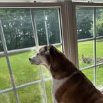 Glenn Workman - @glennworkman74 - Instagram