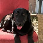 Glenn Worthman - @glennworthman - Instagram