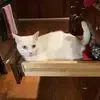 glennmiddleworth - @glenn.middleworth - TikTok