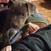 Glenn Wright - @glenn.wright57 - TikTok