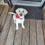 Glenna Chapman Birns - @glennabirns - Instagram
