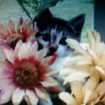 Glenna Hudnall Douglas Wade - Facebook