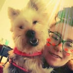 glenna ellis - @angel_the_silkyterrier - Instagram