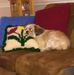 Glenna Foster - Facebook