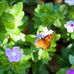 Glenna Gates - Facebook