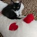 Glenna Haynes - Facebook