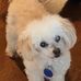 Glenna Huff - Facebook