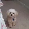 Glenna Huff - @glenna.huff - TikTok