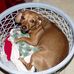 Glenna Arlene Kenney - Facebook