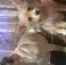 Glenna Kenney - Facebook