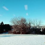 glenna kline - @glen_kline - Instagram