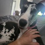 Glenn Amann - @glenn.amann - Instagram