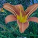 Glenna Mann - Facebook