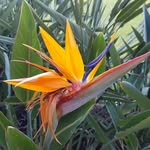 Glenna Ketler Mitchell - @g_rida_67 - Instagram