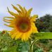 Glenna Mitchell - Facebook