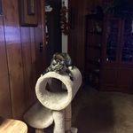 Glenna Nelson - @glenna.nelson.7 - Instagram