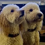 Glenna Stone Nelson - @glennajo19 - Instagram