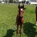 Glenna Dorscha Park - Facebook