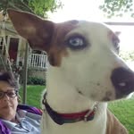 Glenna Park - @parkglenna - Instagram