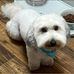 Glenna Gore - Facebook