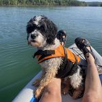 Glenna Shaw - @naturegirlwnc - Instagram