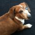 Glenna Stephens - Facebook