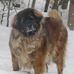 Glenna Stephens - Facebook