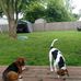 Glenna Stone - Facebook