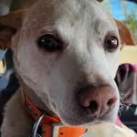 Glenna Speakman Sullivan - @msuglenna7147 - Instagram