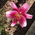 Glenna Ward - @g39581901 - Instagram