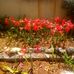 Glenroy Harvey - Facebook