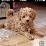 Gloria Aaron - @burnaaaron - Instagram