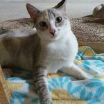 Gloria Wagmacker - @gloria.wagmacker - Instagram