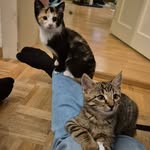 Gloria & Alex - @pawsome_gloriaalex - Instagram