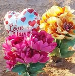 Gloria Applegate - Facebook