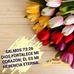Gloria Avelar - Facebook
