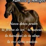 Gloria Aviles - @gloria.aviles.35762 - Instagram