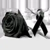 Gloria Avilez - @gloriaaviles166 - TikTok