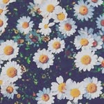 Sacul - @gloriababbana - Instagram